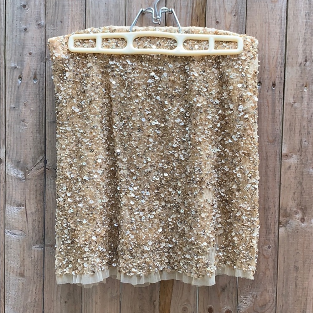 Zara Sequined Tulle Mini Skirt